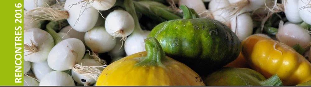 Solidarité agricole internationale