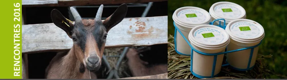 Marché paysan et circuits courts
